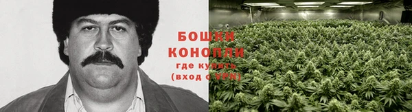 Альфа ПВП Володарск