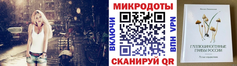 Купить  Чернушка  Псилоцибиновые грибы MAGIC MUSHROOMS 